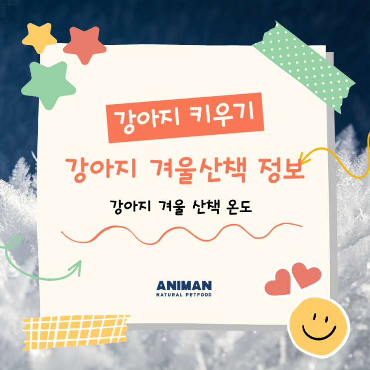  [강아지키우기] 강아지 겨울 산책 정보 / 강아지 겨울 산책 온도