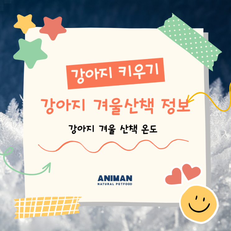 [강아지키우기] 강아지 겨울 산책 정보 / 강아지 겨울 산책 온도