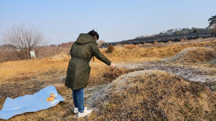  아들 미국 출국전 부모님 산소에 성묘 다녀왔어요.