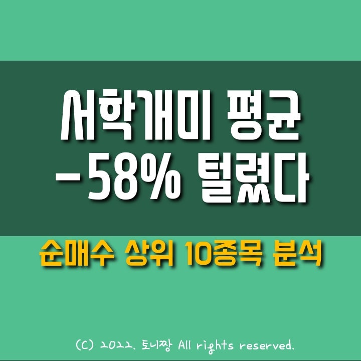 서학개미 지갑 -58% 털렸다. 순매수 상위 10개 종목, ETF