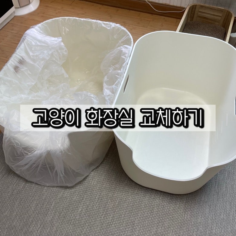 [집사 업무] 고양이 화장실 교체하기! 교체 주기, 분리수거