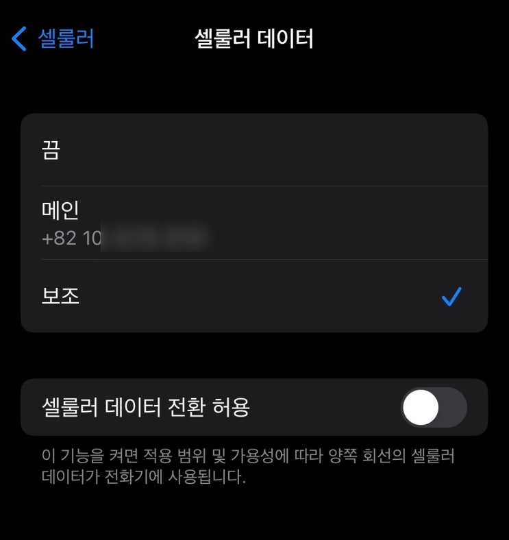 로밍만큼 간편하고 가성비 좋은 유심 / 와이파이 도시락 eSIM