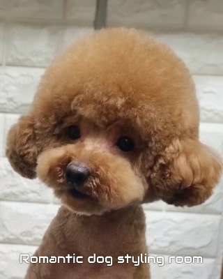 사진 5
