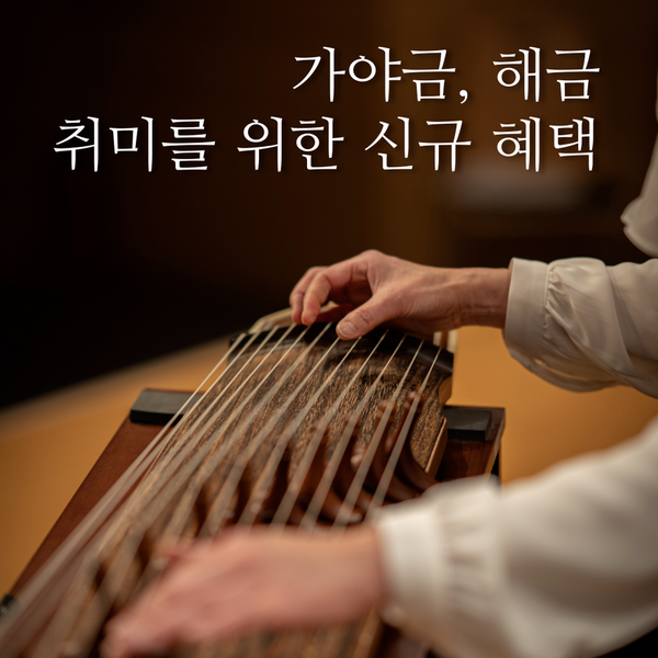  해금 배우기, 가야금 배우기 | 이거 모르면 후회해요!(신규 회원 혜택)
