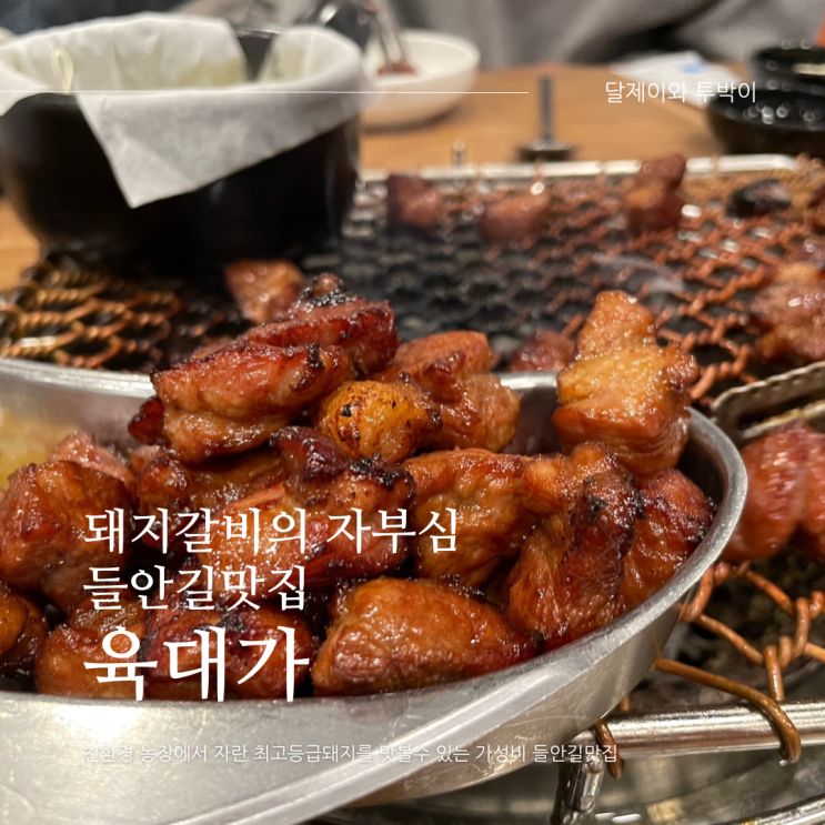  [대구 / 수성구 들안길맛집] 돼지갈비가 맛있는 고깃집 "육대가" 다녀왔어요