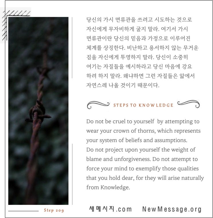 제 209 계단: 나는 오늘 나 자신을 무자비하게 대하지 않을 것이다 I will not be cruel with myself today. 제 209 계단: 나는 오늘 나 자신을 무자비하게 대하지 않을 것이다 I will not be cruel with myself today.