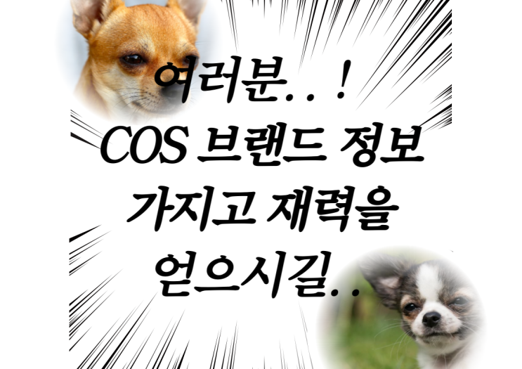  코스(COS) 관련 알사람은 다아는 정보들 정리!