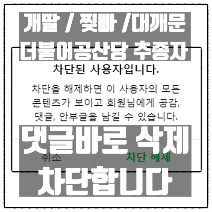 개딸 찢빠 대깨문 더불어공산당 추종자 댓글 바로 삭제 후 차단합니다