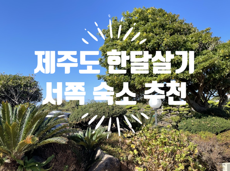  제주 보름살기 애월 한림 숙소 제주또올레 펜션 아기랑 가기 너무 좋아요.