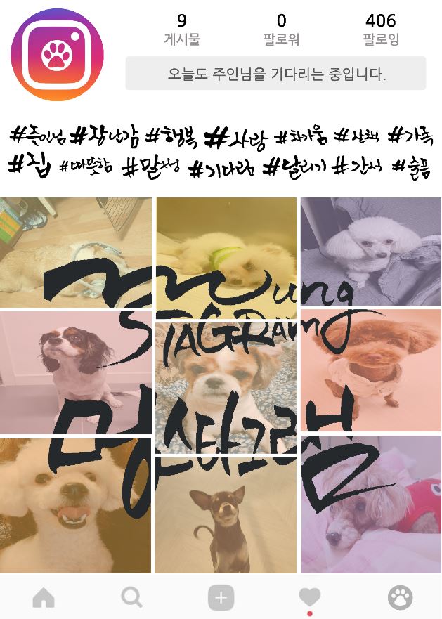  #54 홍대, 상수 이스케이퍼스 2호점 <멍스타그램> 후기