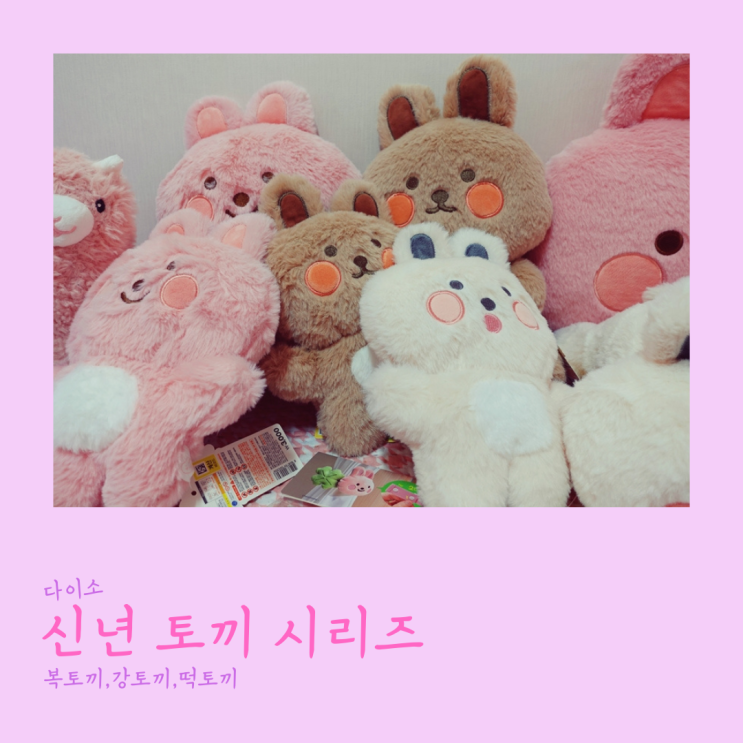  다이소 신년토끼 시리즈 털어왔어요