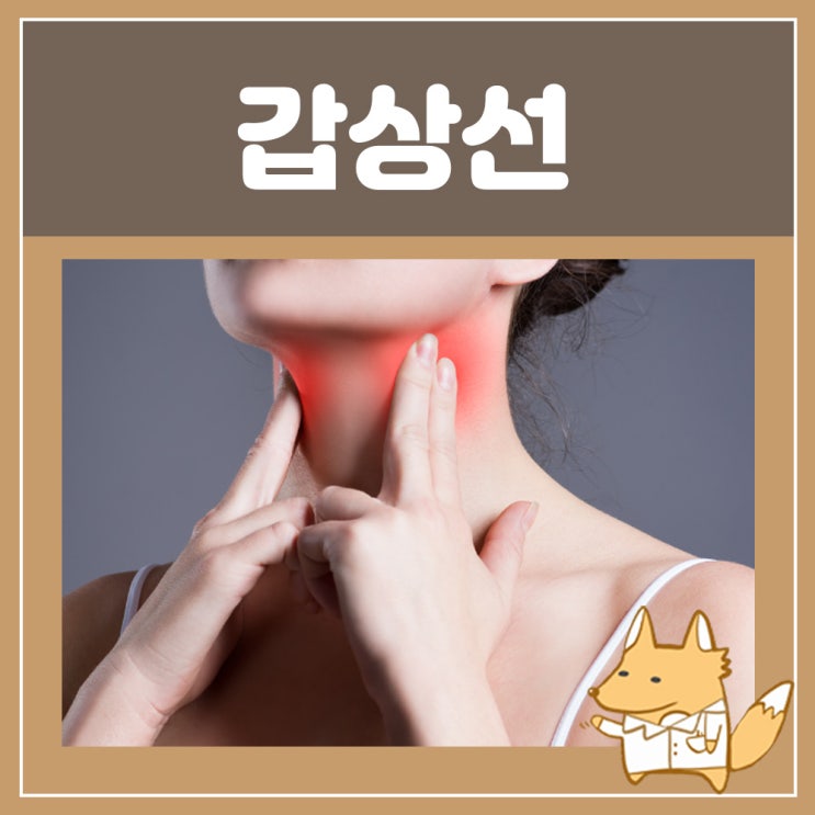  갑상선에안좋은음식 갑상선기능저하증 약 씬지로이드정 씬지록신정 : 갑상선약 씬지록신 갑상선 부음 원인