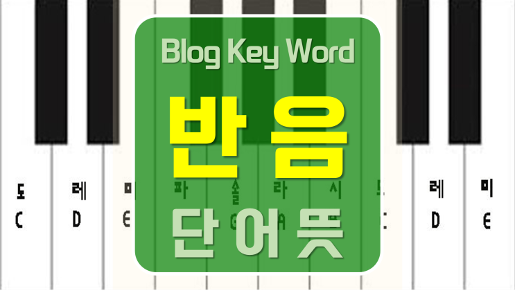  반음뜻 2022년12월28일키워드입니다.