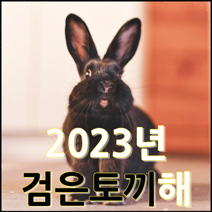  검은토끼해 의미 2023년 토끼해 뜻 알아봐요