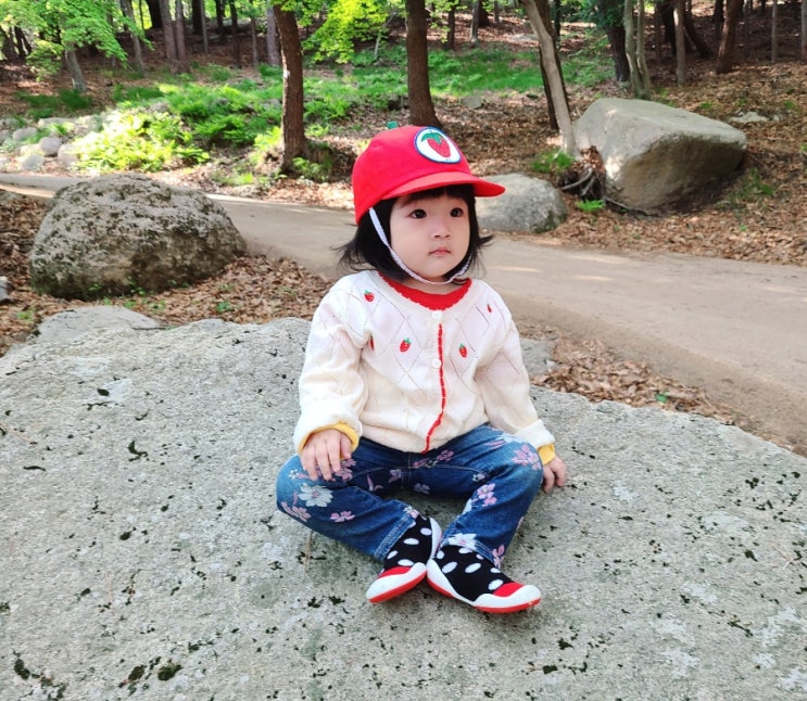  금강공원 금정산 케이블카 / 농심호텔 온천 온돌