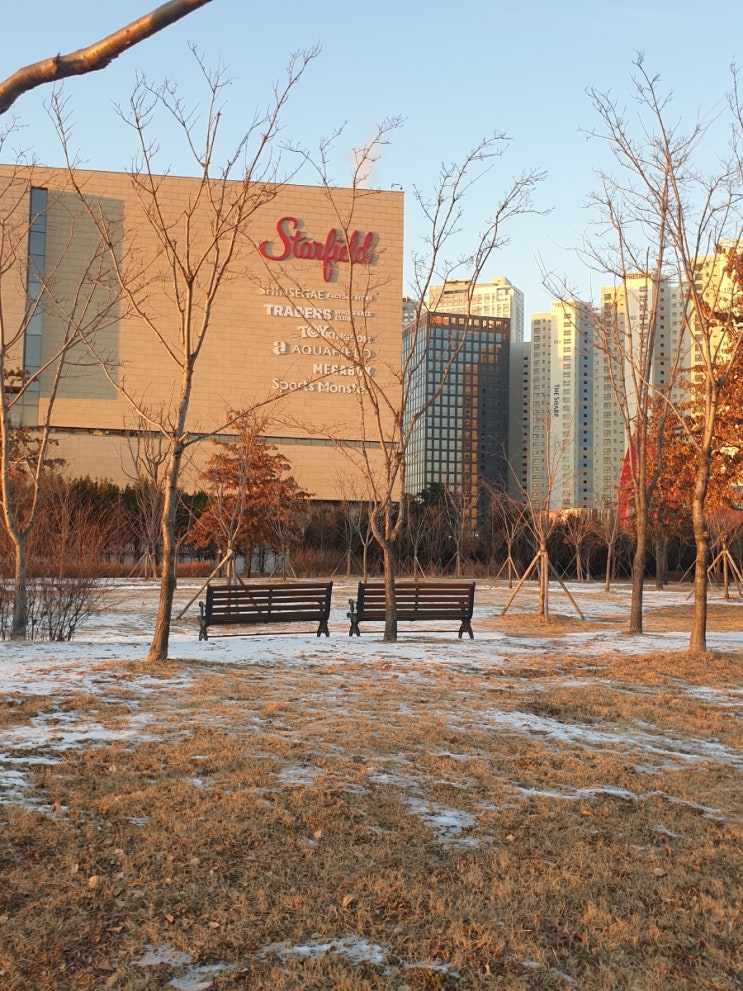 고양스타필드 캐치티니핑 팝업스토어 간김에 토이킹덤 옆에 설빙