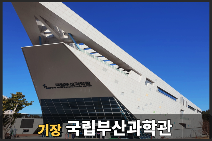  국립부산과학관 천체투영관 + 인근식당 추천까지 이용리뷰는 덤~