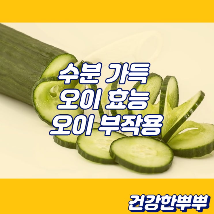  오이효능 오이부작용 오이알레르기