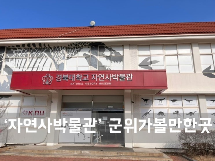  ㅣ군위 가볼만한 곳ㅣ경북대학교 자연사박물관, 아이와 가볼만한 곳