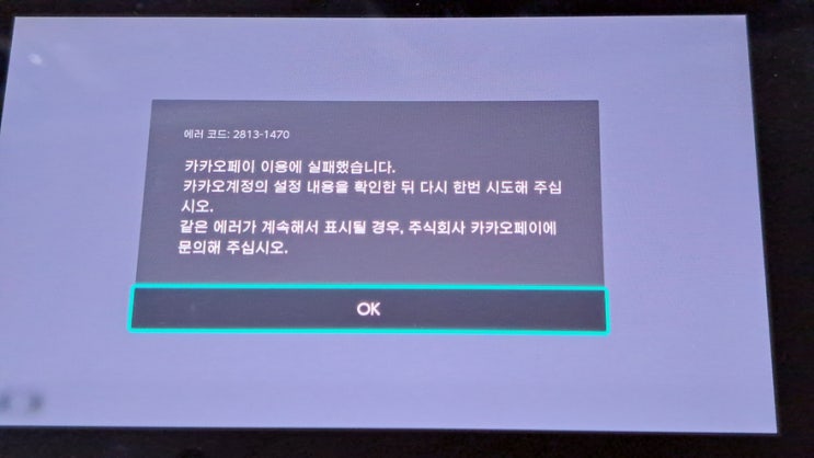 닌텐도 스토어 카카오페이 결제시 2813-1470 에러와 해결방법 닌텐도 스토어 카카오페이 결제시 2813-1470 에러와 해결방법