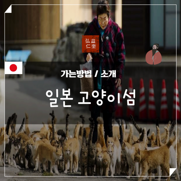  일본 고양이 섬 아오시마 특이한 여행 장소