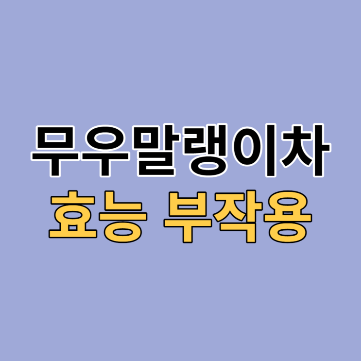  무우말랭이차 효능과 부작용