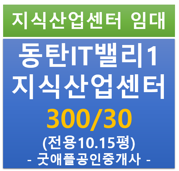 동탄 IT 밸리 1차, 전용 10평 사무실, 임대 300/30