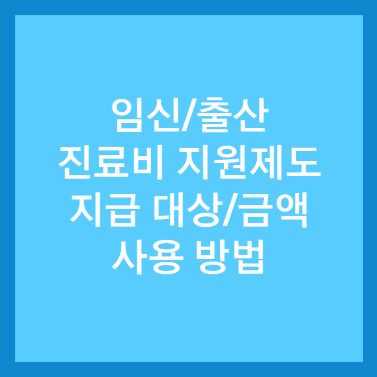 임신 출산 진료비 지원 제도 지급 대상, 지급 금액, 사용 방법