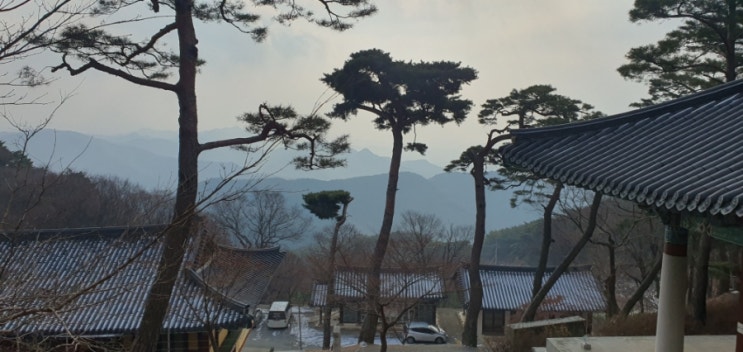  구미 가볼만한곳 도리사