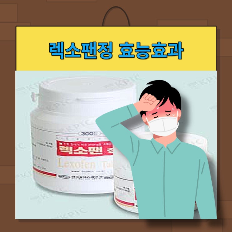  렉소팬정 소염진통제 효능 부작용 주의사항 복용법 정리