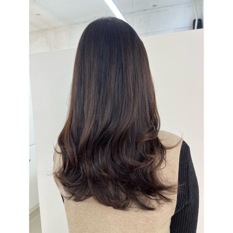  살롱드라피네 본점 레이어드펌 빌드펌 후기 강남역미용실