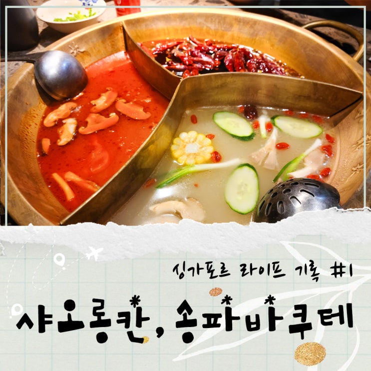  싱가포르 기록 #1, 부기스 훠궈 맛집 샤오롱칸 차이나타운 송파바쿠테