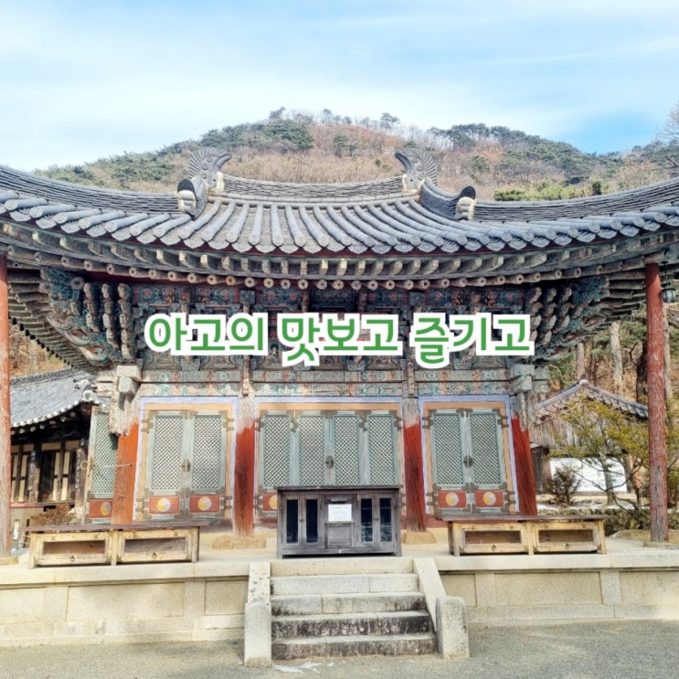  아고의 맛보고 즐기고~ 국내여행 일상여행 W52