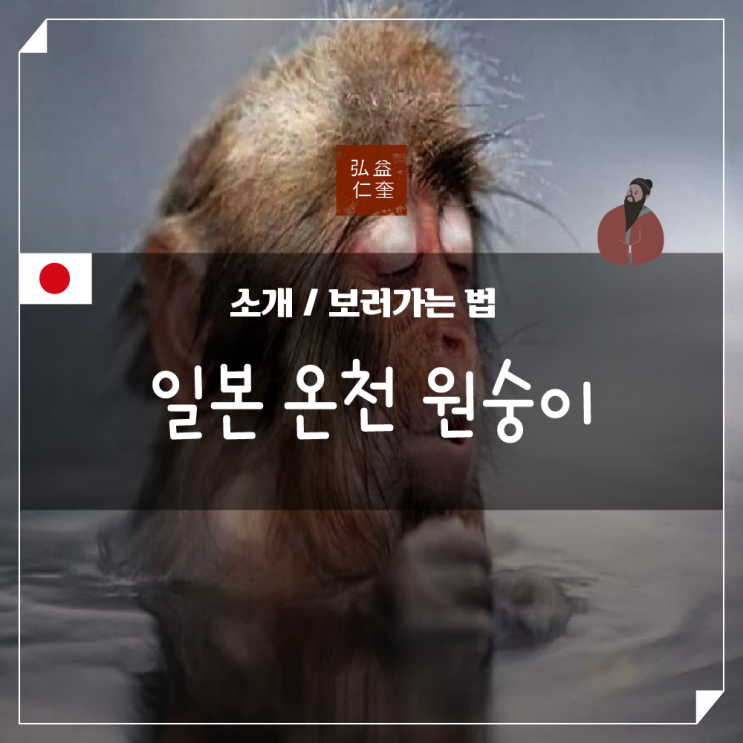  일본 온천 원숭이 이색 여행지 소개