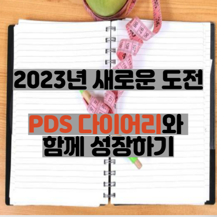  공장퀸의 2023년 새로운 도전 - PDS 다이어리와 함께 성장하기