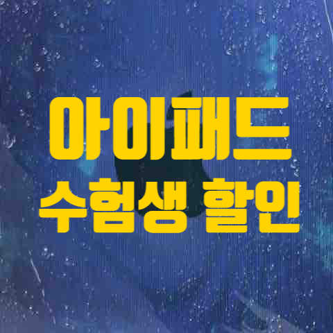  애플 아이패드 수험생 할인 지금이 기회인 이유(feat. 환율)