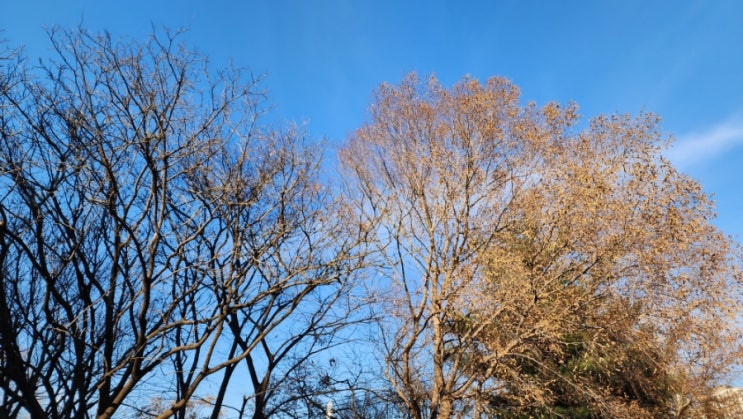 나도 모르는 나를 아시는 주님 앞에 정직하기 원합니다. 나도 모르는 나를 아시는 주님 앞에 정직하기 원합니다.