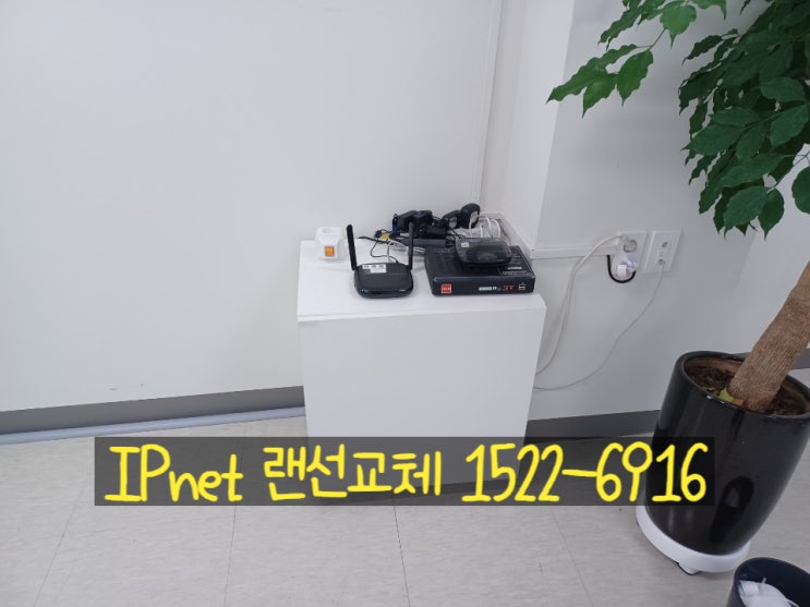  사무실lan선교체, 빠르게 해결합시다.