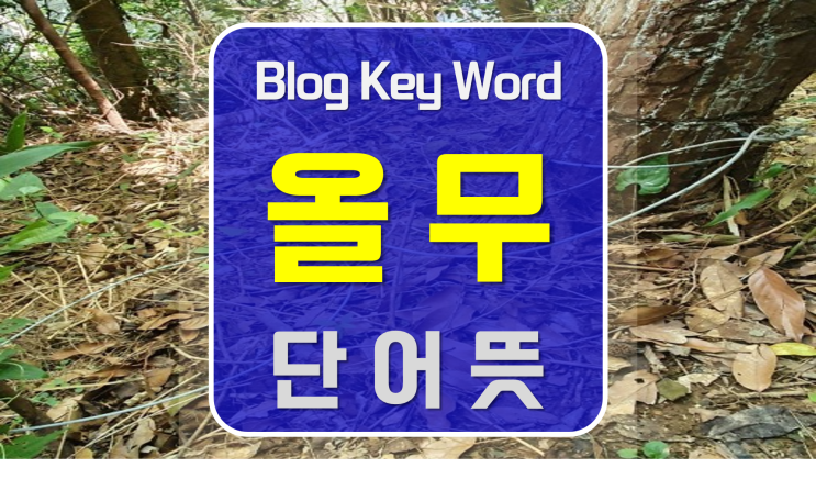  올무뜻 2022년12월29일키워드입니다.