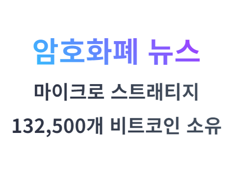 마이크로 스트래티지 약 132,500개 비트코인을 소유하다