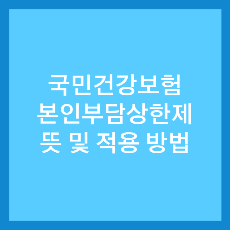  국민건강보험 본인부담상한제 뜻 및 적용 방법