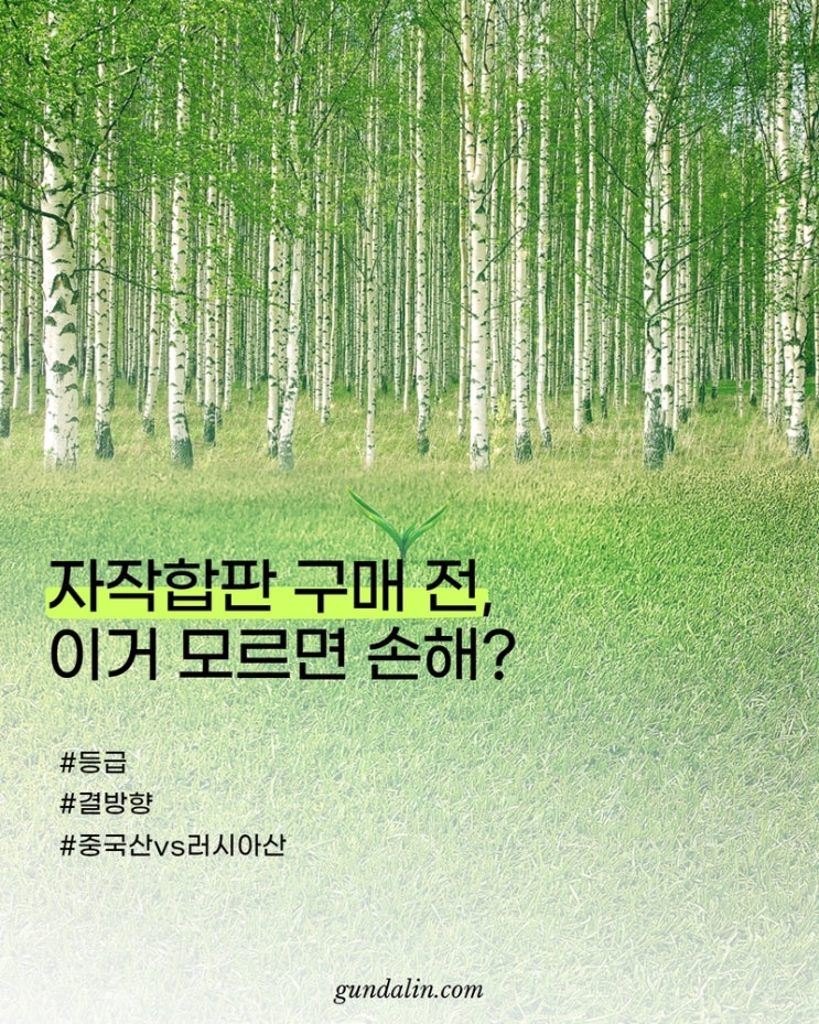  자작나무합판, 구매 전 꼭 알아야 할 3가지 규격 (원산지, 등급, 롱그레인, 숏그레인)