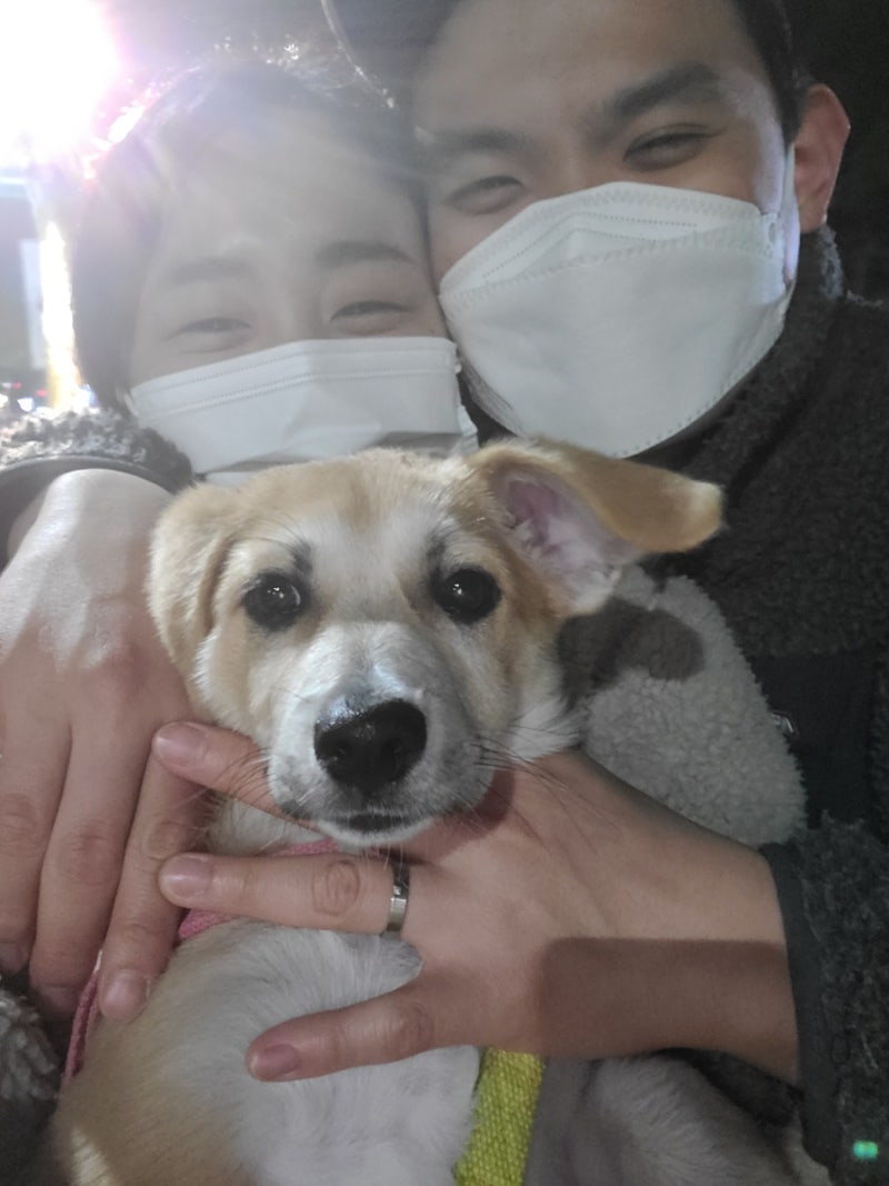 사진 2