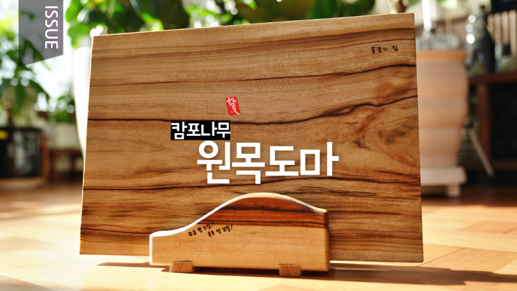  플레이팅 도마 추천 ! _ 캄포 원목도마 & 퍼플하트 빵도마