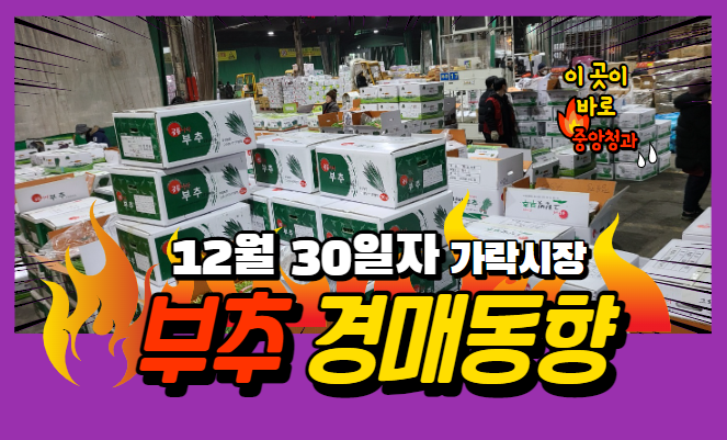  [경매사 일일보고] 12월 30일자 가락시장 "부추" 경매동향을 살펴보겠습니다!