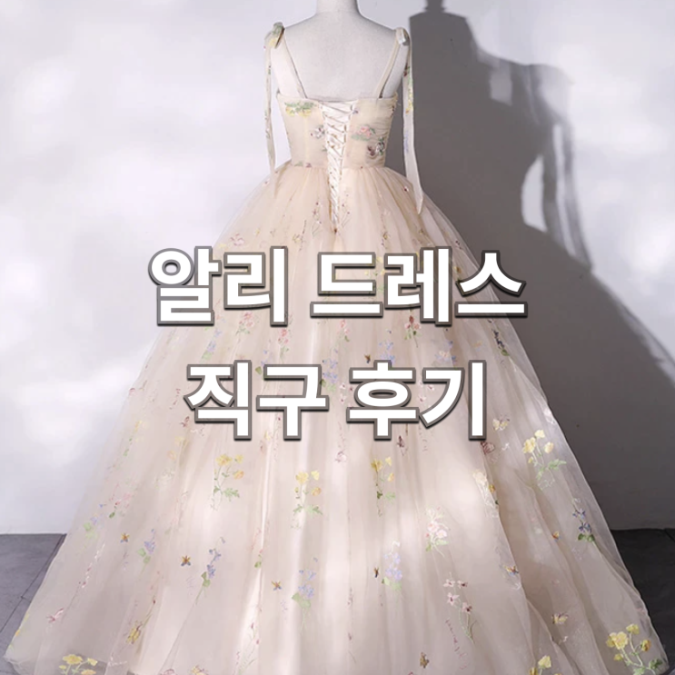  [파워 J의 결혼준비] #7 알리에서 촬영드레스 직구하기