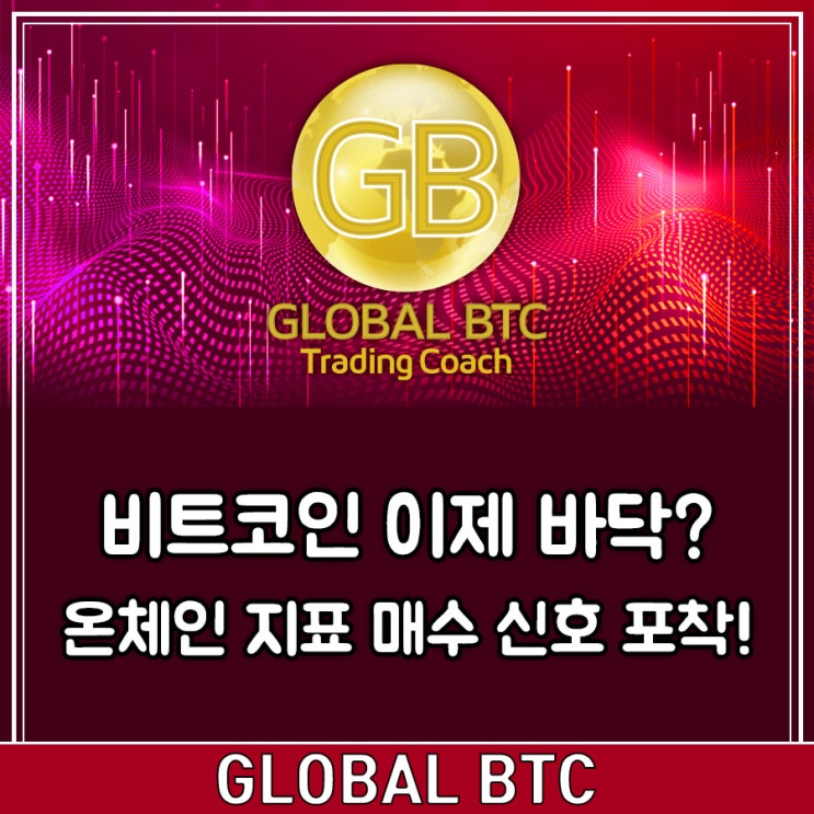  비트코인 이제 바닥? 온체인 지표 매수 신호 포착!