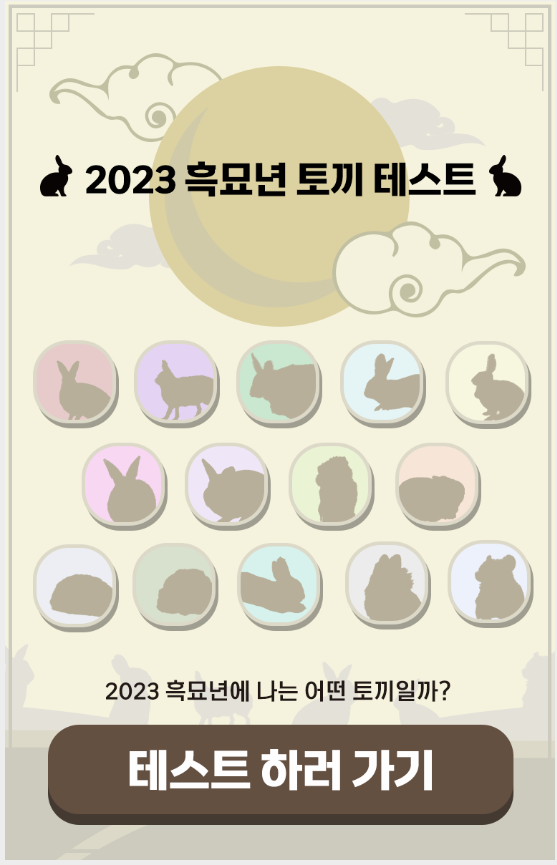 2023년 흑모년 토끼 테스트 테디 드워프토끼 - 링크 있음 2023년 흑모년 토끼 테스트 테디 드워프토끼 - 링크 있음