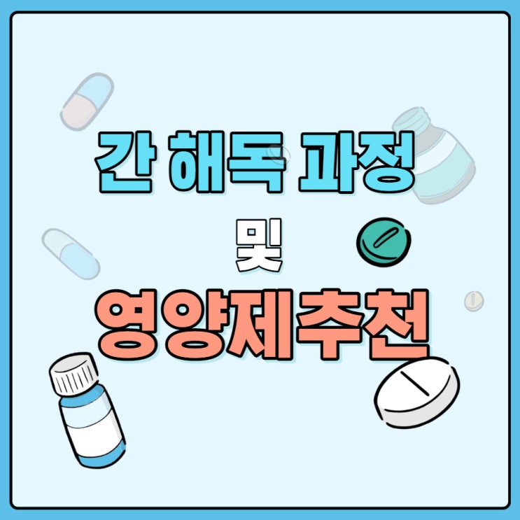 간 해독 과정 및 영양제 추천 간 해독 과정 및 영양제 추천