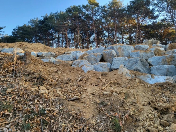  2023년 경남 합천군 쌍책면 밀양박씨 종중묘원조성 비석3개 경계석2미터23개 자판4자 잔디조성 가묘2기 3일차 공사 김천고인돌장의사